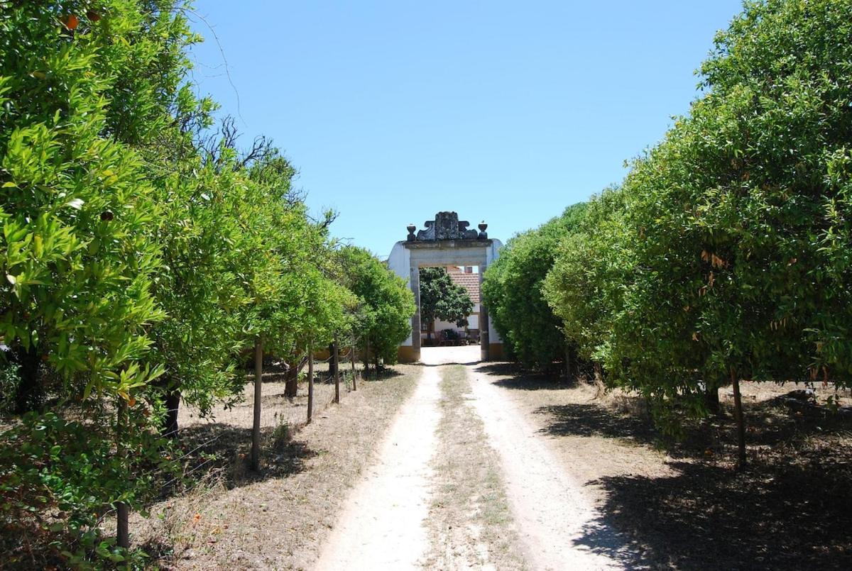 Quinta Do Casalinho - Benfica Do Ribatejo Villa Екстериор снимка